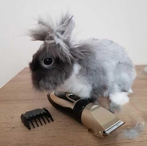 Машинка за подстригване груминг grooming, кучета котки домашни любимци керамични и неръждаеми ножове