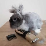 Машинка за подстригване груминг grooming, кучета котки домашни любимци керамични и неръждаеми ножове — снимка 2